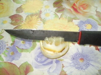 М0.jpg