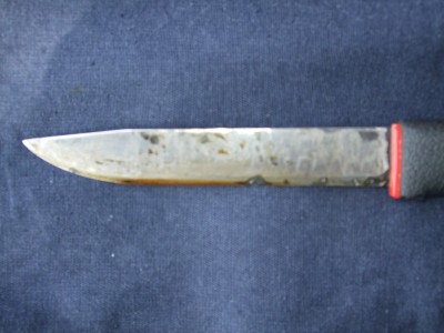 М1.jpg
