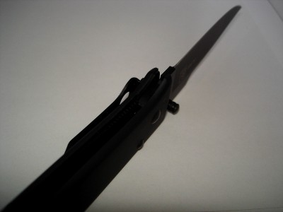 pic6.jpg