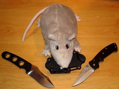 pic3.jpg