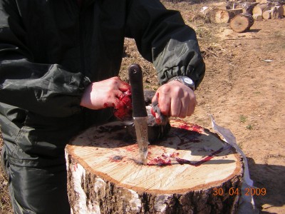 DSCN1183.JPG