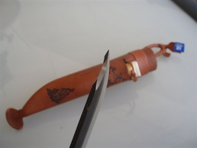 fin 002.jpg