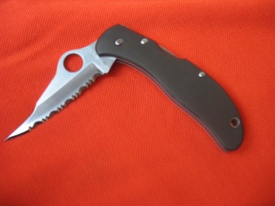 x_08593906.jpg