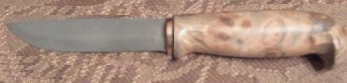 Бамбрский.jpg