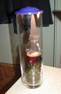 _IMG_1861.jpg