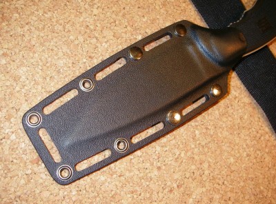 IMGP7990.jpg