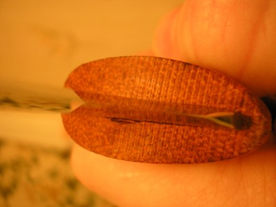 PC220108.JPG