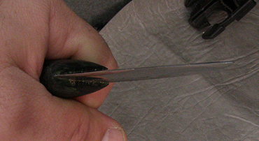 PC240045.JPG