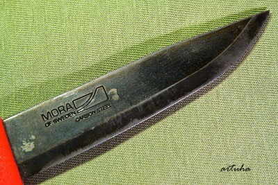 _MG_2362.jpg