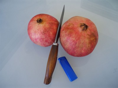 file 150.jpg