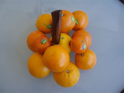 file 153.jpg
