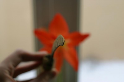 IMG_9495a.jpg