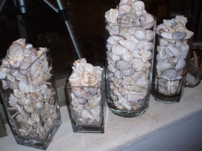 file 240.jpg