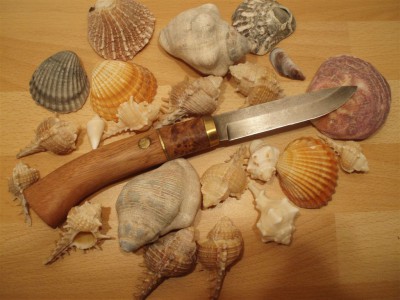 file 246.jpg