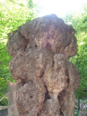 DSCF3409.JPG