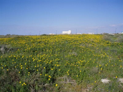 file 254.jpg