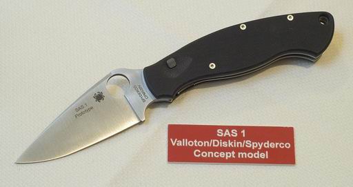Resize of sas_proto.jpg
