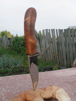 222.JPG