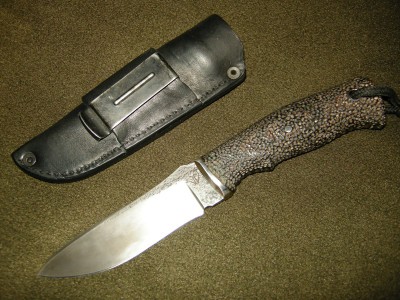 DSCN7826.JPG