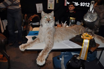 DSC_0743 2.jpg
