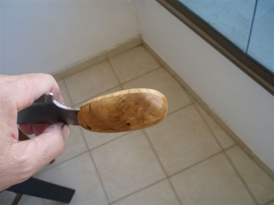 дуб 002.jpg