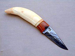 BerghToothKnife-t.jpg