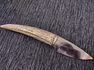 DSCF2572.jpg