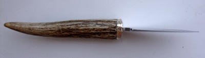 DSCF2583.jpg