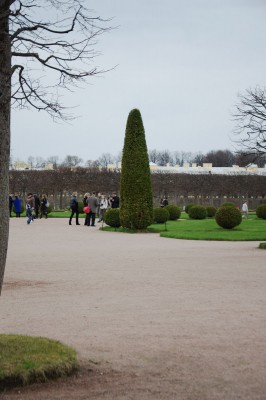 DSC_2372.jpg