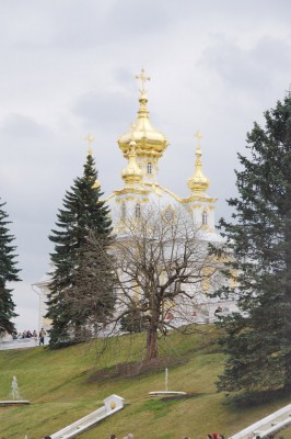 DSC_2404.jpg