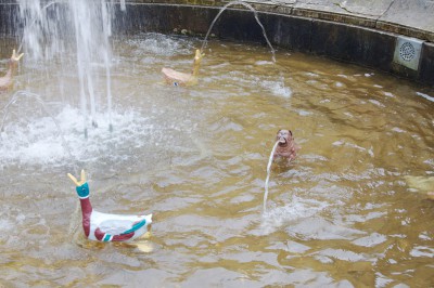 DSC_2407.jpg