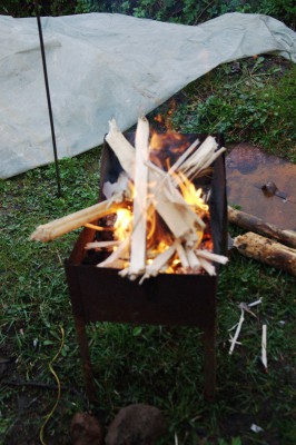 DSC_2433.jpg