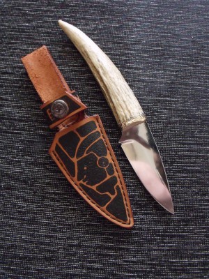 DSCF2594.jpg
