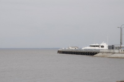 DSC_2415.jpg