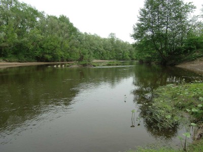 CIMG0944.jpg