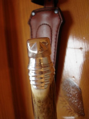 DSC01342.JPG