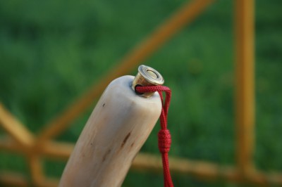 IMG_3884.jpg