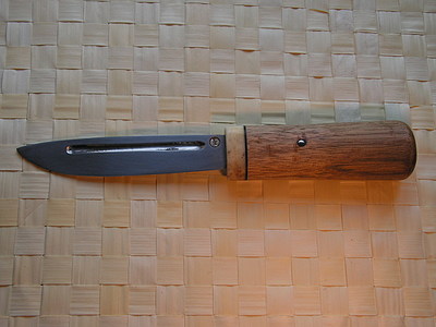 1200572.jpg
