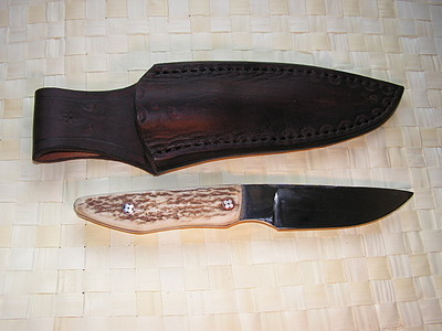 1200654.jpg