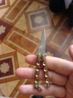 810438.jpg