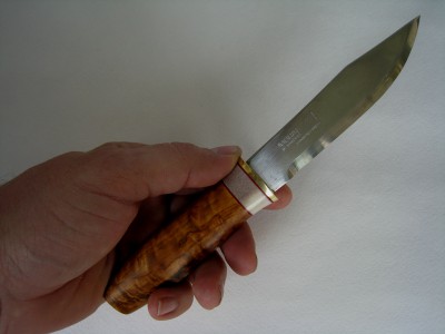 Mora3.JPG