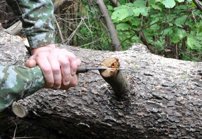 DSC_4045.jpg