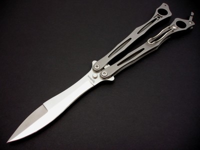 Spyderfly1.jpg