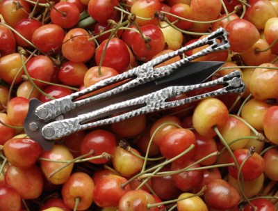 spyderfly3.jpg