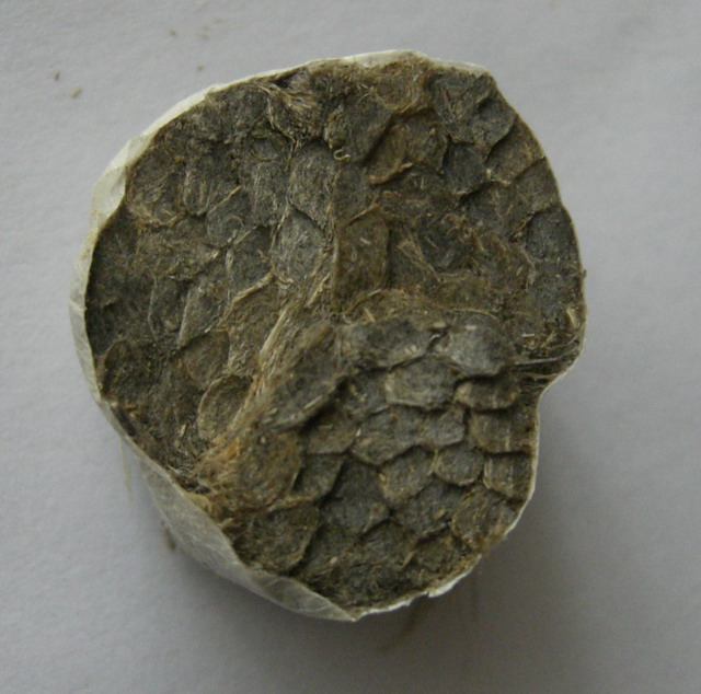 CIMG22691111111.jpg