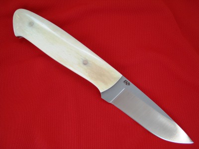Bone2.JPG