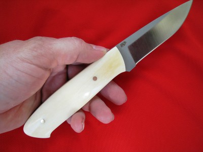 Bone3.JPG