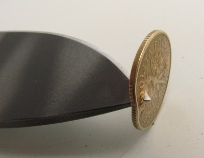 Strider_coin.jpg
