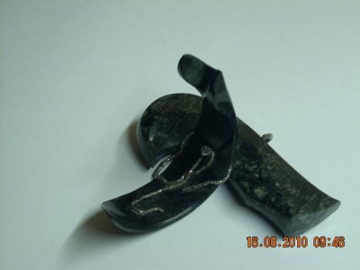 DSCN5239.jpg