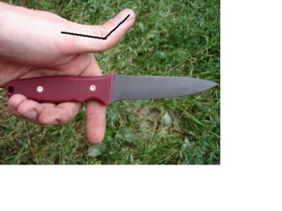 12_thumb.jpg
